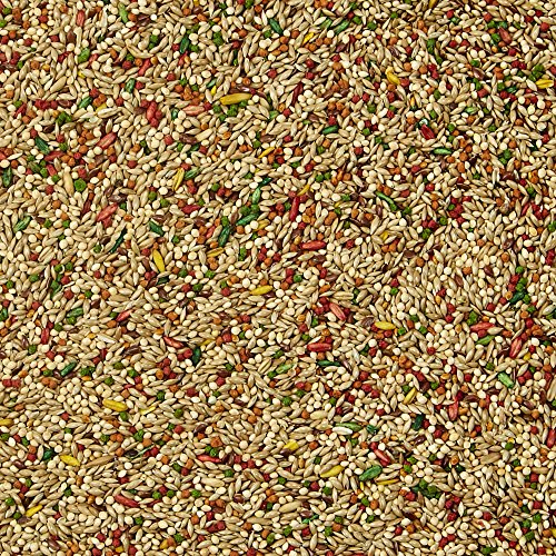 2 Kaytee+Forti+Diet+Health+Bird+Parakeets