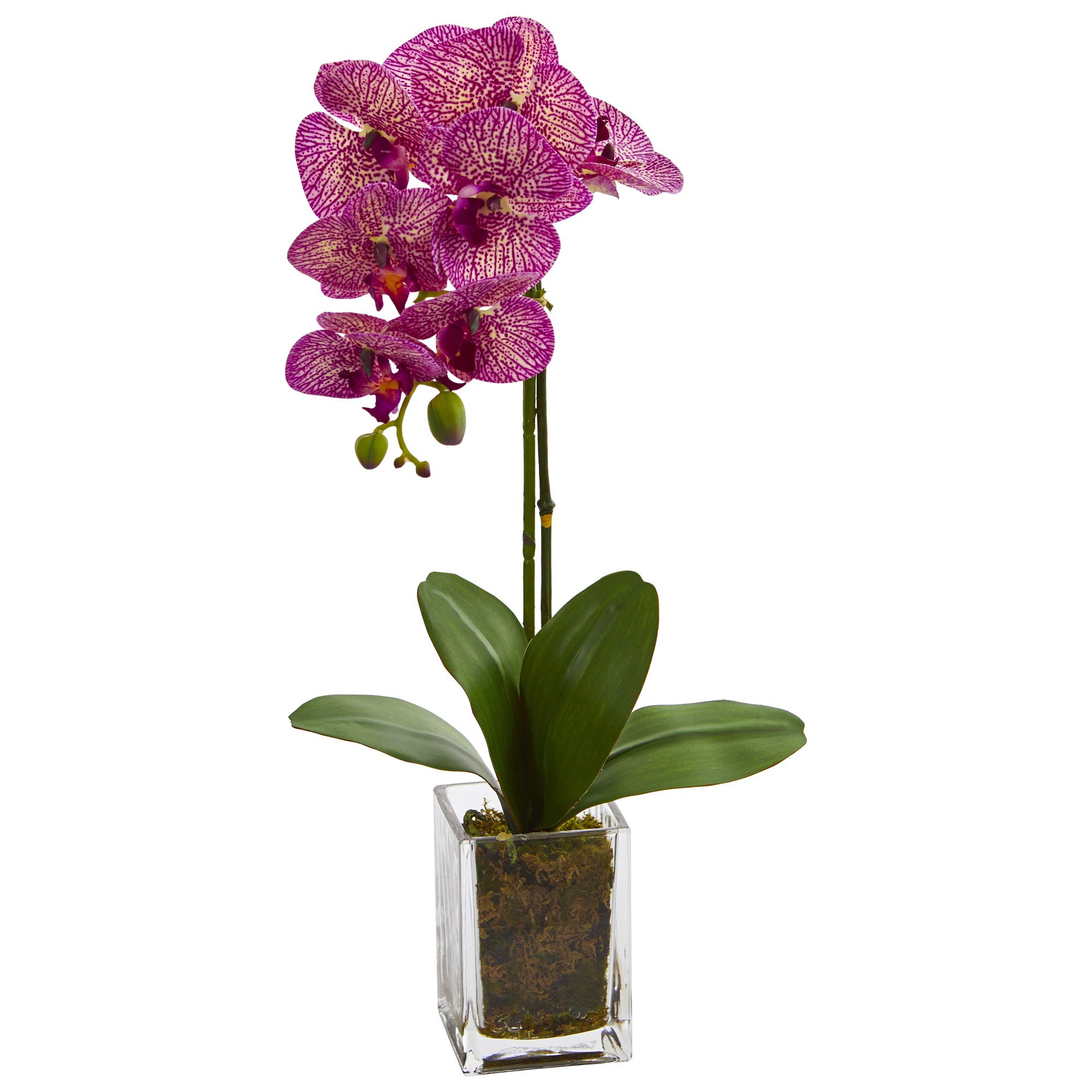 Nearly Natural 24-in. Orchid Phalaenopsis Artificial Vase Silk Arrangements, Pink