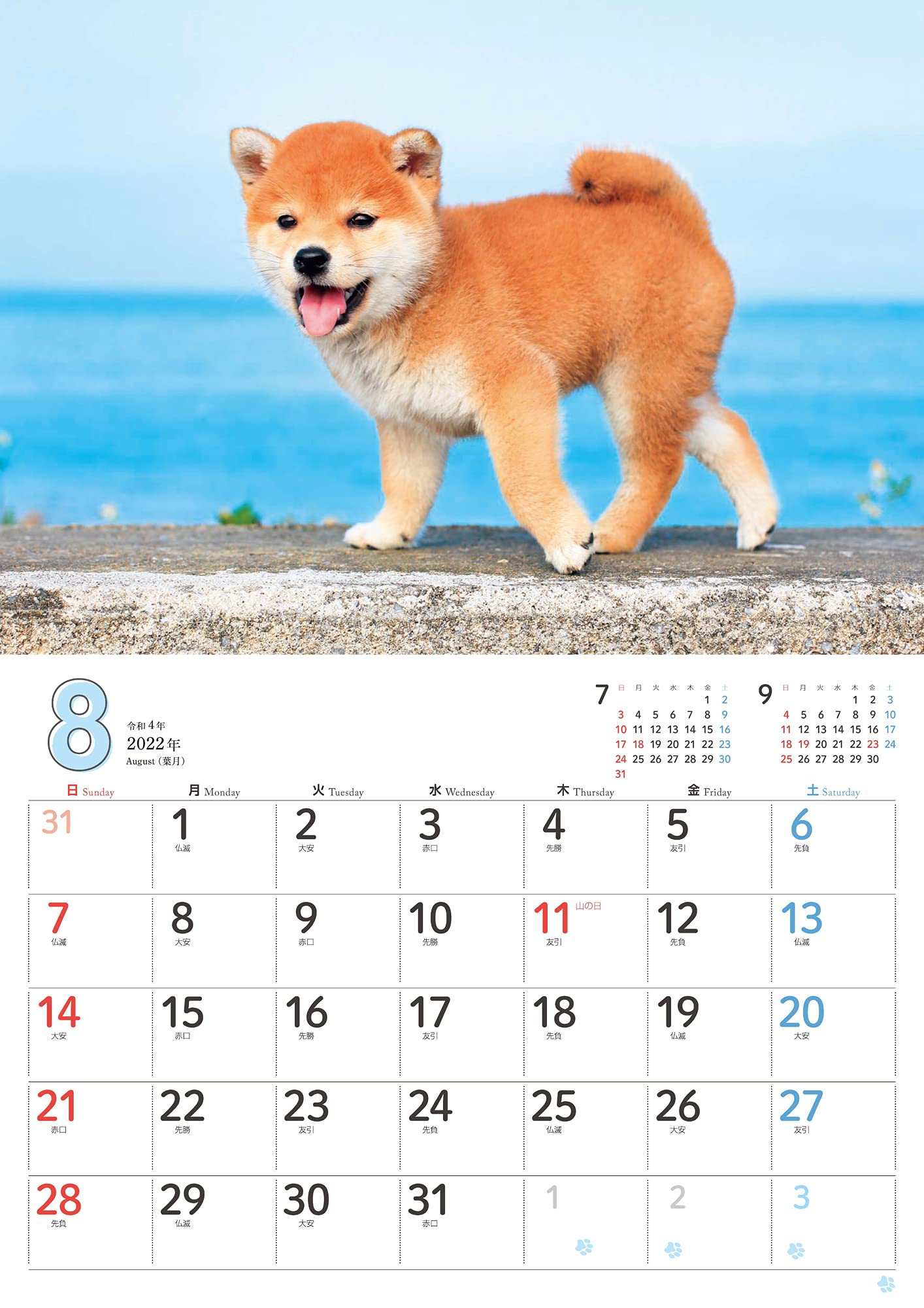 もふもふこいぬ インプレスカレンダー22 森田米雄 本 通販 Amazon