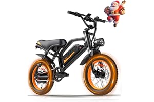 AVDLBIKE Electric Bike, 16'' Fat Tire E-Bike for Teens/Adults, 500W Small E-Bike with 36V/12.8Ah Removable Battery, Up to 22MPH, 45 Mile Range, Electric Dirt/Mountain Bike for Woman/Men A13
