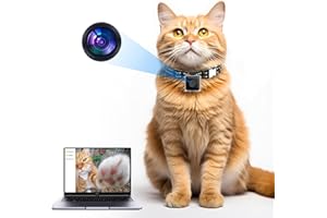KinetCam Cat Camera Collar,No APP No WiFi Needed Cordless Cat Collar Camera with Video Record, XS-Size Collar for Cats/Small Dogs,Pet Collar Camera Outdoor,Camera for Cat Collar(NO SD Card Included)