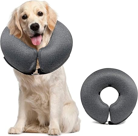 dog comfort cone