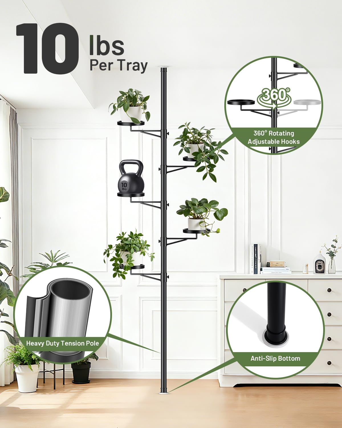 https://images-na.ssl-images-amazon.com/images/I/71BjVSEqjaL.jpg