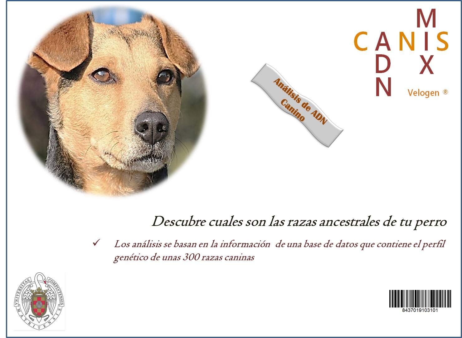 Canis-Adn-Mix Test ADN Perros: Amazon.es: Productos para mascotas