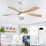 52 inch Ceiling Fans with Lights, Modern, Low