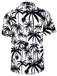 Men's Short Sleeve Hawaiian Shirt Quick Dry Loose