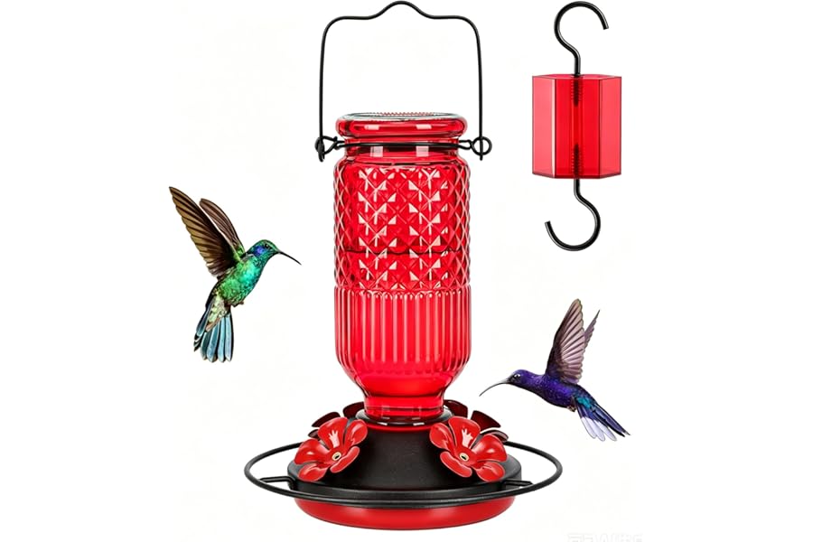 FEED GARDEN Glass Hummingbird Feeder, 16oz Outdoor Hanging Bird Feeder with Ant Moat, 4 Bee-Proof Feeding Ports, 360° Perch, Leak-Proof, Red