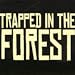 Trapped in the Forest