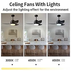 Modern Black Ceiling Fans with Lights Remote