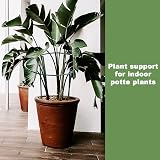 MUAEEOK 6 Pack Plant Support Stakes 25x60cm Half Round Garden Cage view 4