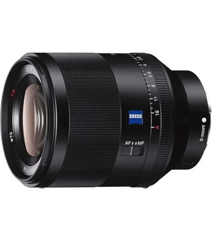 Amazon.com : Sony SEL35F14Z Distagon T FE 35mm f/1.4 ZA Standard
