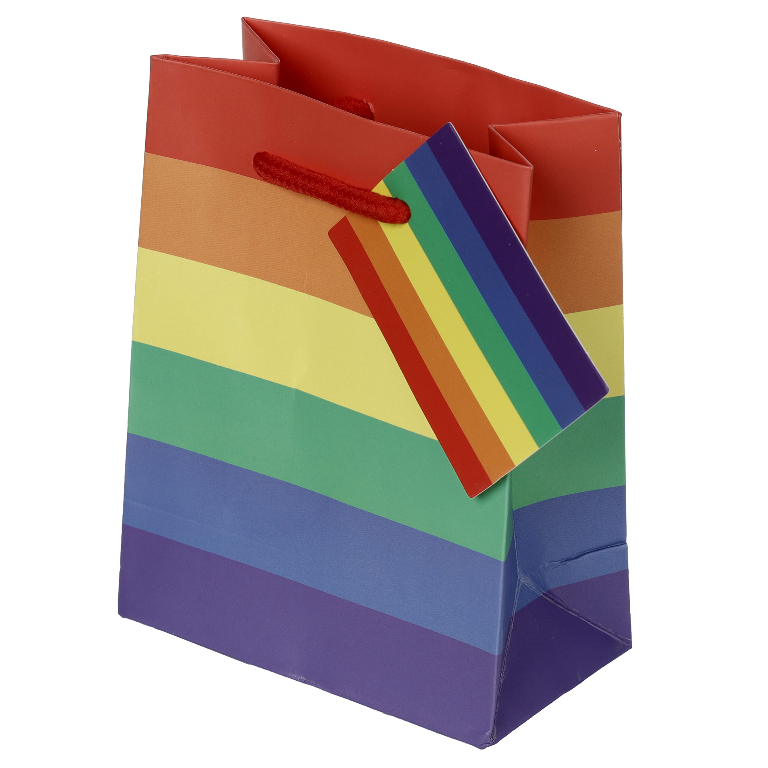 Gift Bag - Rainbow - S