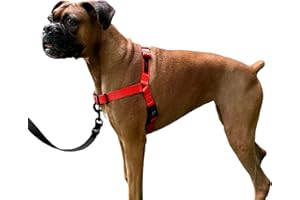 ShawnCo Dream Walk No-Pull Dog Harness- Adjustable, Comfortable, Easy to Use Pet Halter to Help Stop Pulling for Small, Medium and Large Dogs (Mustang Red, M)