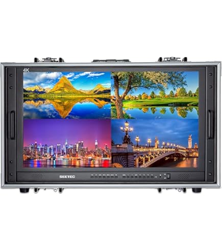 Amazon.com: SEETEC 17.3 Inch SDI Rack Mount Monitor SC173-HSD-56