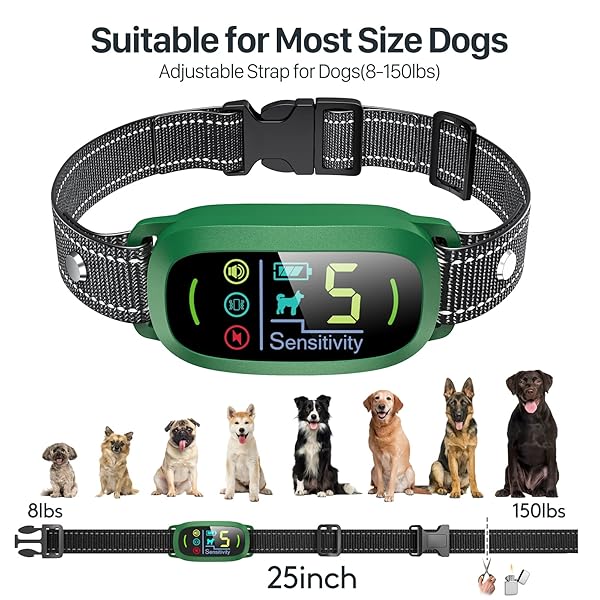 FAFAFROG DOG BARK COLLAR, RECHARGEABLE SMART COLLAR, ANTI BARKING TRAINING COLLAR WITH 5 ADJUSTABLE SENSITIVITY BEEP VIBRATION, BARK COLLAR FOR LARGE MEDIUM SMALL DOGS (GREEN)