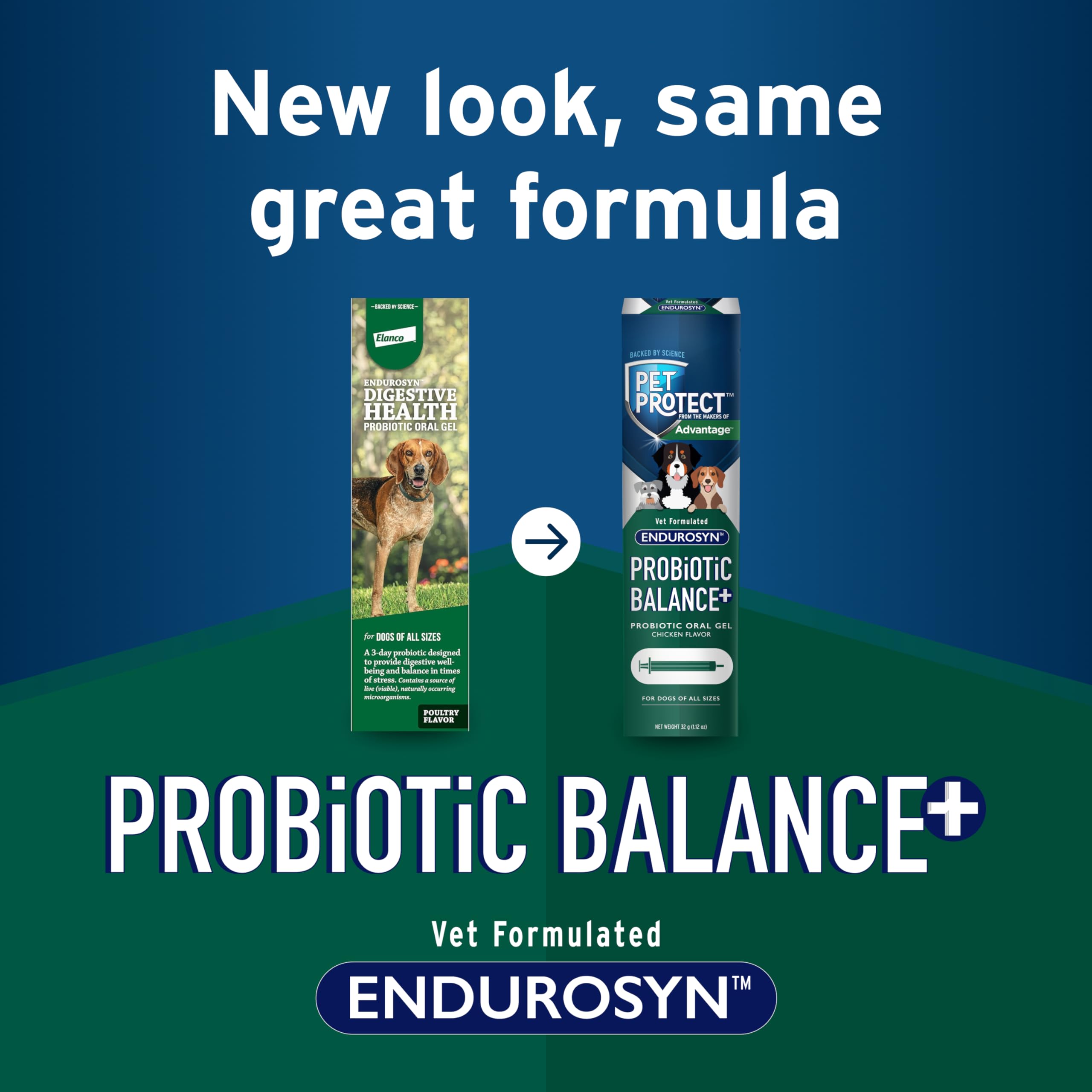 Endurosyn Probiotic Oral Gel for Dogs, 32 gm