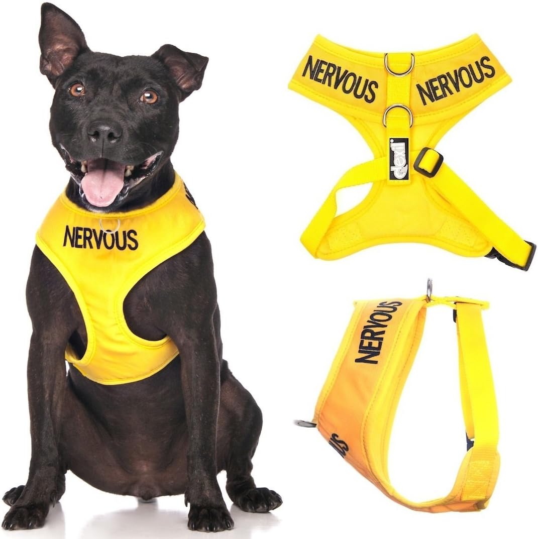nervous dog harness