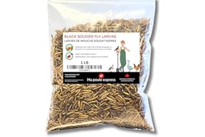 Ma Poule Express - Dried Black Soldier Fly Larvae Chicken Treats for Chicken, Hens, Duck, Bird, Lizard, Tortoise - High Prote