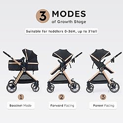 Accombe 2 in 1 Baby Stroller, Convertible Bassinet