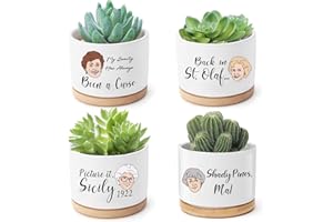 Mikopei Golden Girls Merchandise - Funny Succulent Pots Set of 4, Golden Girls Gifts for Women, Ceramic Mini Cute Planters with Bamboo Tray for Office Desk Indoor Decorations