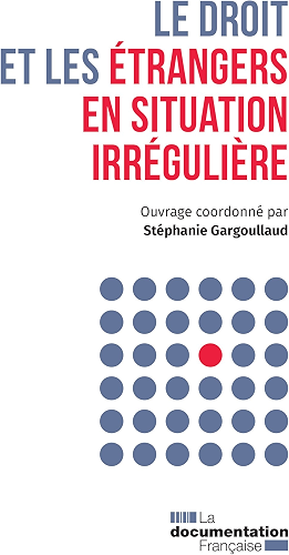 Download Le droit et les étrangers en situation irrégulière (Doc' en poche) PDF
