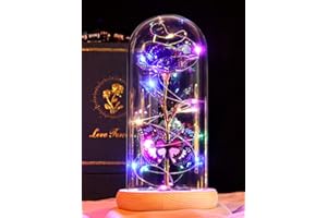 Beferr Mothers Day Flowers Gifts for Mom, Birthday Gifts for Women, Galaxy Glass Roses Gift for Grandma Wife Daughter Artificial Forever Preserved Flowers for Delivery Prime Rose in Dome, Purple