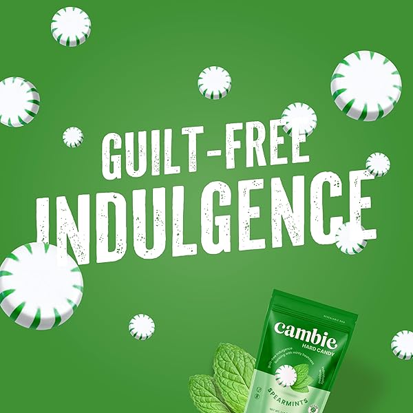 CAMBIE SUGAR FREE HARD CANDY, 1 LB OF SUGAR FREE CANDY INDIVIDUALLY WRAPPED, SPEARMINT