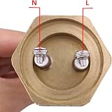 DERNORD 12V DC Water Heater Element 200W 1.25" Copper Flange Heating Element view 5