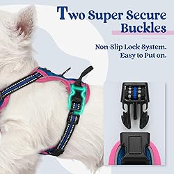 rabbitgoo Dog Harness No Pull with 2 Leash