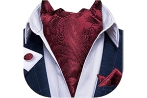 DiBanGu Ascot Ties for Men Luxury Burgundy Paisley Ascot Tie and Pocket Square Cufflinks Silk Cravat