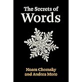 The Secrets of Words