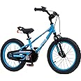 RoyalBaby Kids Bike EZ Balance to Pedal Dual Handbrake Toddlers Boys Girls Bicycle 12-20 Inch for Age 3-10 Years