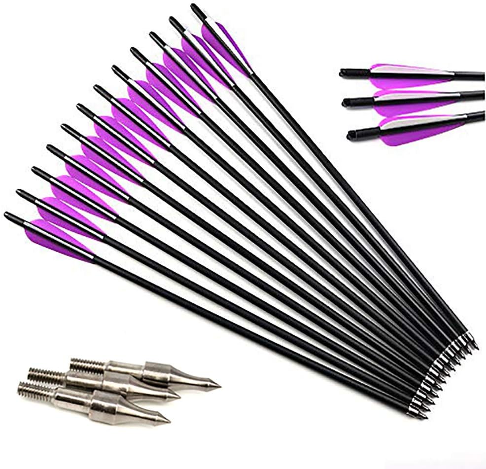 AMEYXGS Armbrustbolzen Carbon - 7,5 & 15 Zoll Mit Abnehmbaren Spitzen