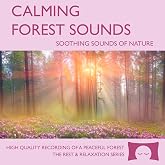 Calming Forest Sounds - Soothing Nature Ambience for Stress Relief, Meditation and Creating a Peaceful Environment - Natural White Noise