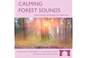 Calming Forest Sounds - Soothing Nature Ambience for Stress Relief, Meditation and Creating a Peaceful Environment - Natural White Noise