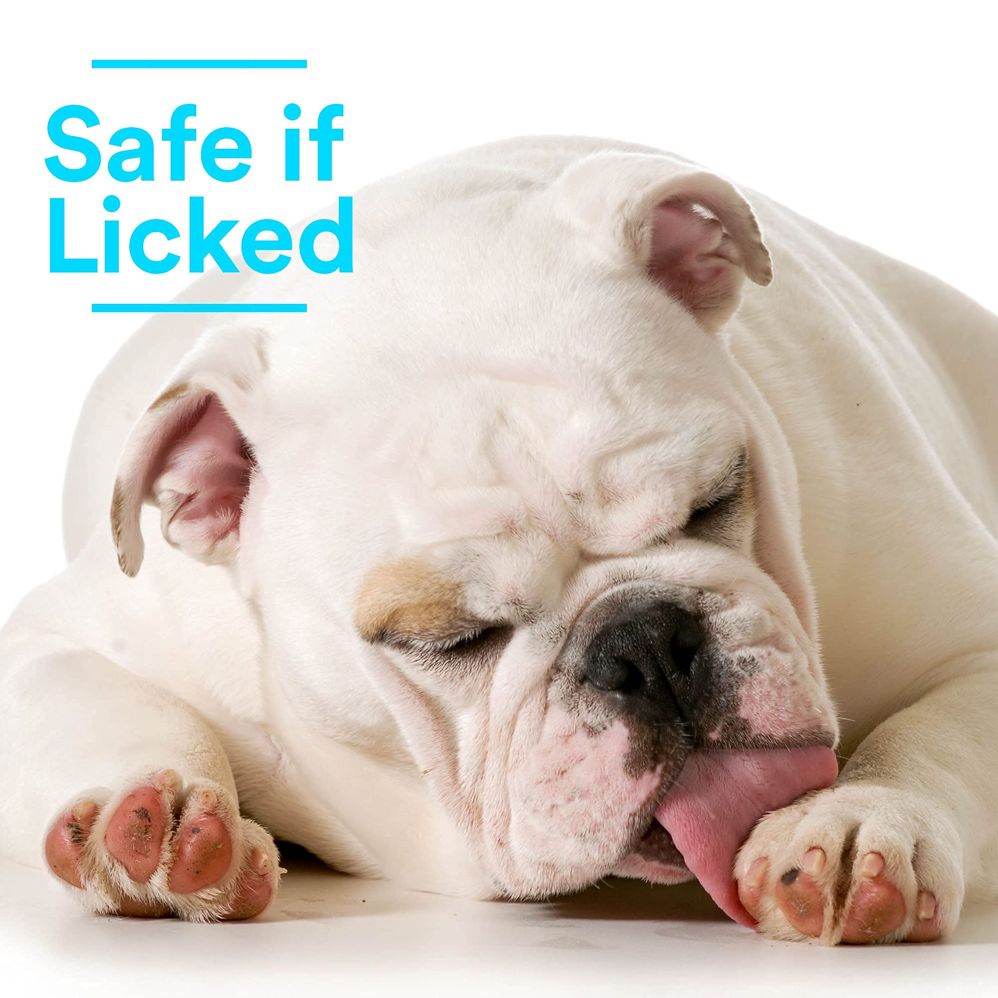 SkinSmart Antimicrobial Wound Care for Pets, Hypochlorous Acid Removes Bacteria to Promote Healing and Relieves Itch, Safe if Licked, 8 Ounce Spray Bottle
