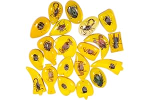 ROMISBABA 10Pcs Real Insect Amber Specimens Decorative Amber Pendants for Educational Resin Insect