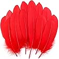 THARAHT 120pcs Red Goose Feathers Natural Bulk 6-8 inch 15-20cm for Crafts DIY Cosplay Wedding Party Halloween Decoration Goose Nagoire Feathers