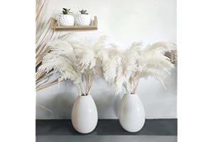 ROOLLYA 30 Stems 28" inch Large White Pampas Grass Fluffy, Boho Home Decor, Natural Fluffy Pompas Grass Pampas for living room Decor, Table Decor, Boho Decor Floor, Party wedding Decor, Gift (30 White )