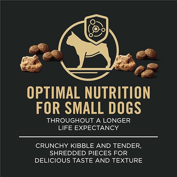 PURINA PRO PLAN SMALL BREED DRY DOG FOOD, SHREDDED BLEND BEEF AND RICE FORMULA WITH GUARANTEED LIVE PROBIOTICS – 6 LB. BAG