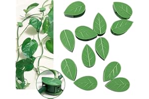 CHOCLAIF Plant Climbing Wall Fixture Clips 40 Pcs, Garden Vegetable Plant Support Binding Clip Invisible Wall Vines, Self-Adhesive Clips Plant Vine Traction for Indoor Outdoor Decoration