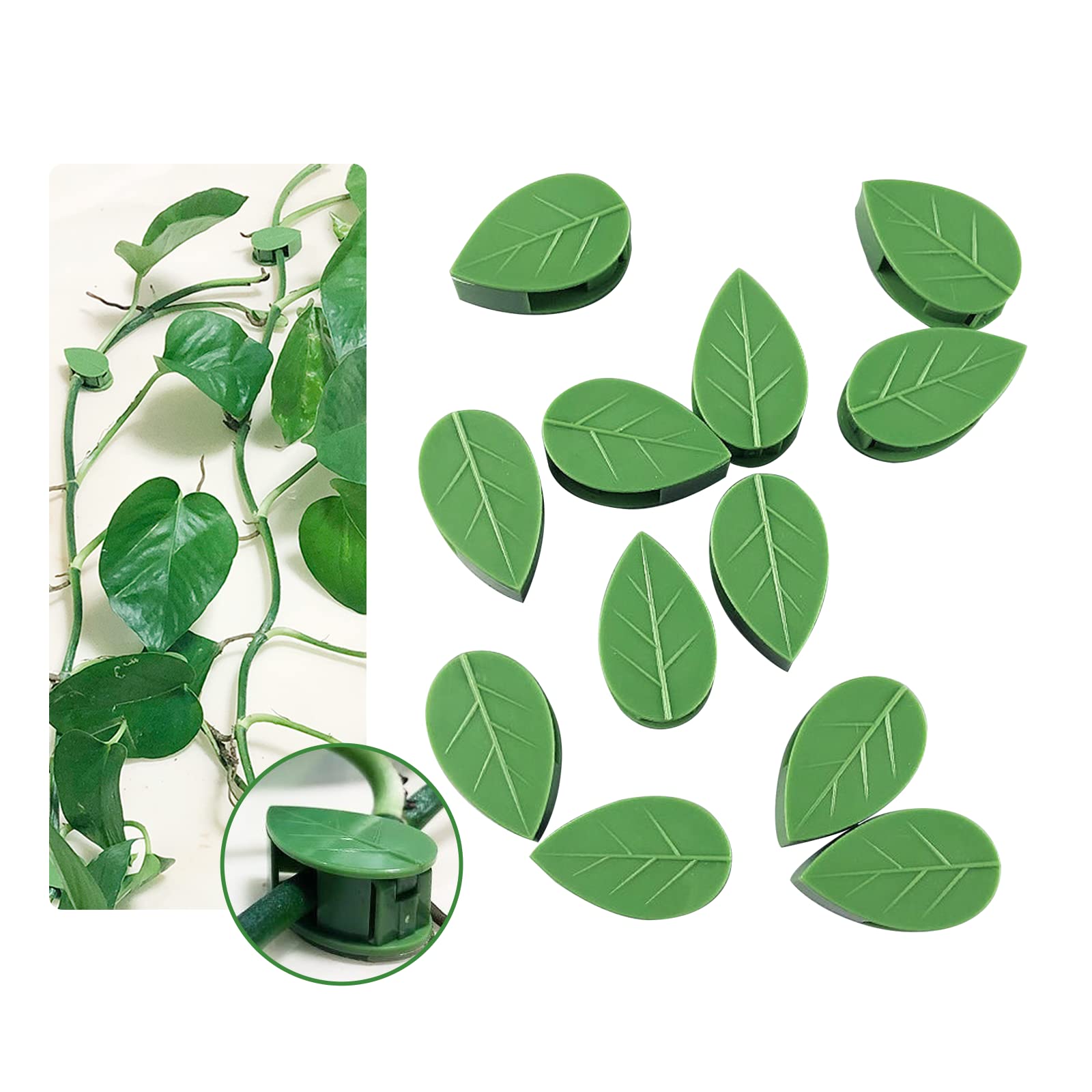 Photo 1 of Plant Climbing Wall Fixture Clips 40 Pcs, Garden Vegetable Plant Support Binding Clip Invisible Wall Vines, Self-Adhesive Clips Plant Vine Traction for Indoor Outdoor Decoration