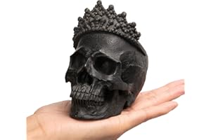 Newman House Studio Skull-Decor Halloween-Decorations - Vintage-Human Head-Sculpture with Crown for Indoor Skull Figurine Home Party Gothic Witchy Room Decor 3.7L x 2.8W x 4.2H inch