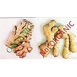 Ginger Root, Fresh, Whole, NON GMO, Organic, 10 Ounces, Simply Delicious