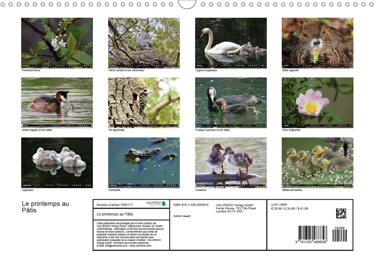 Le Printemps Au Patis La Nature Renait Au Printemps Calvendo Animaux French Edition Casaert Patrick Amazon Com Books