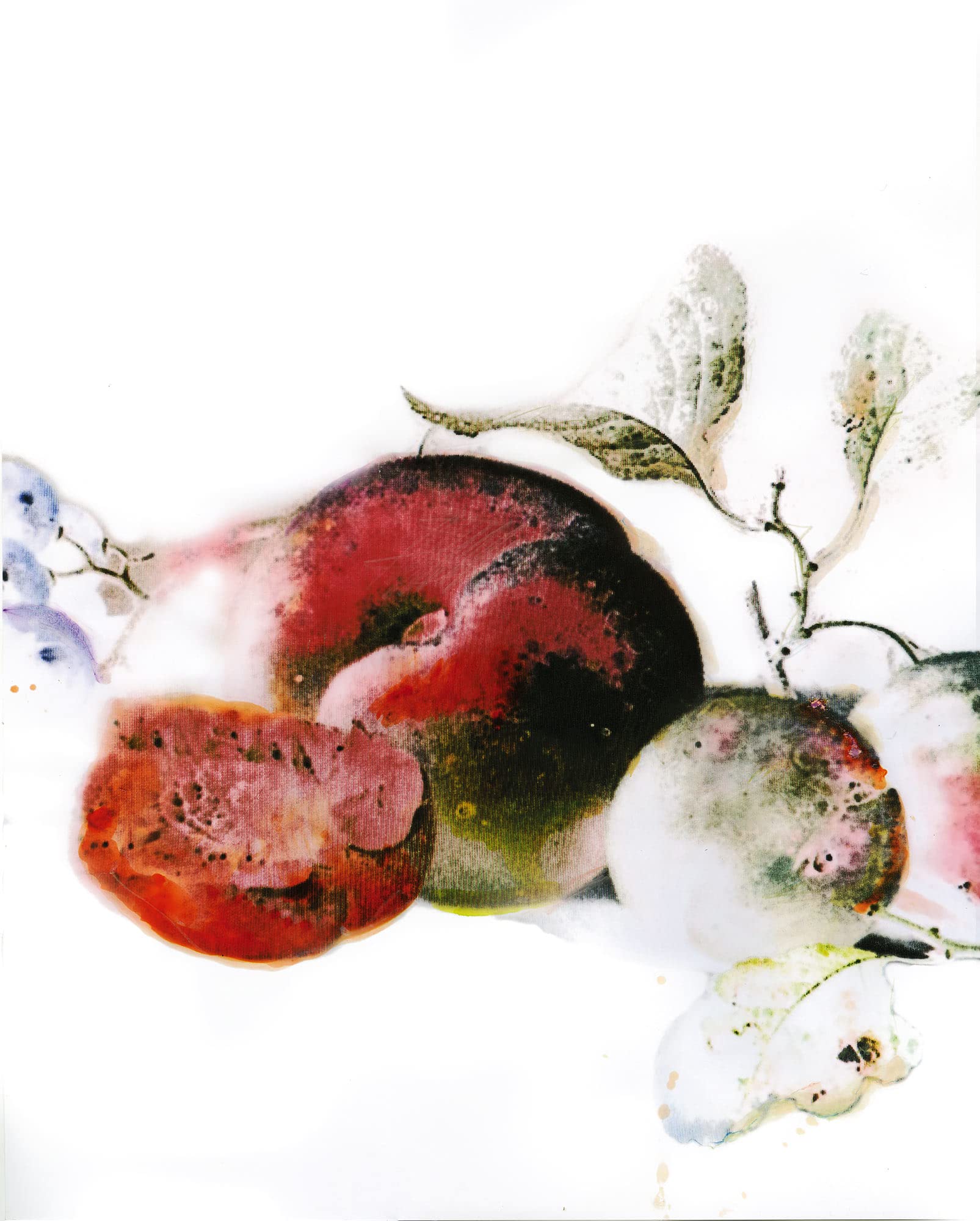 Komar Wall Picture - Dessert Fruité - Size: 40 x 50 cm - Poster Art Print Decoration Living Room Bedroom