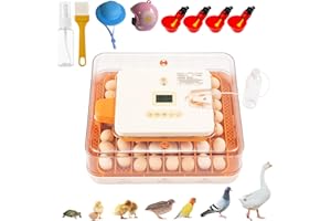 PulseFay 56 Egg Incubator for Hatching Eggs–Smart Auto Turner & Humidity Control, 360° View, Built-in Candler |Hatching Kit with Chick Helmet Toy for Chicken, Duck, Quail | Ideal for Home & Classroom