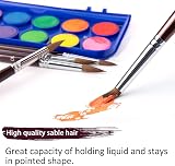 Fuumuui Sable 9pc Watercolour Brush Set Round & Pointed Kolinsky Sable view 3