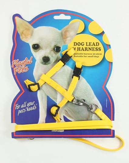 1 X Harnais Laisse Pour Petit Chien Bleu Rose Ou Jaune