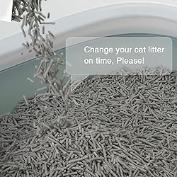 BLUERISE Tofu Cat Litter 6LB×2Bags Natural Cat